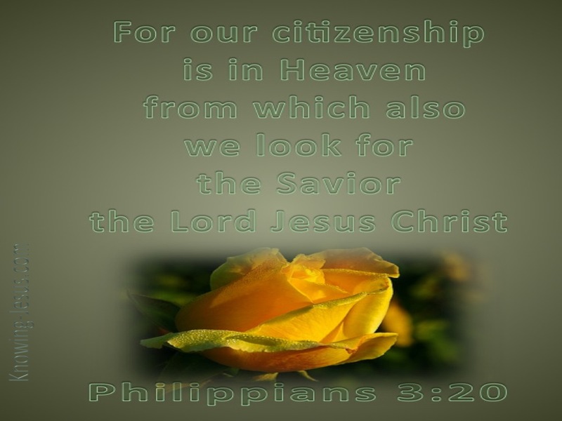 Philippians 3:20 Our Citizenship Is In Heaven (green)